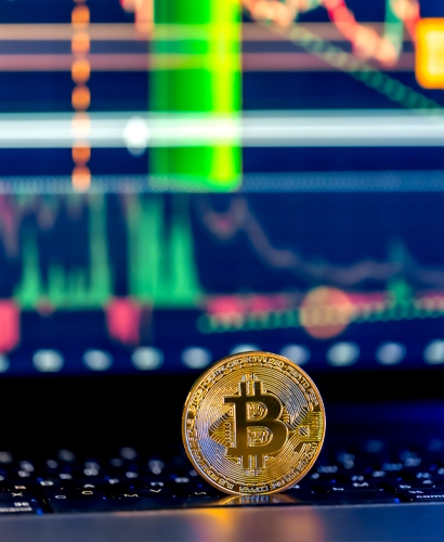 Beravestex Trading Informationen
